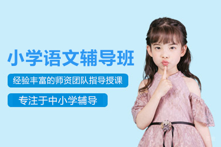 北京小学语文辅导班