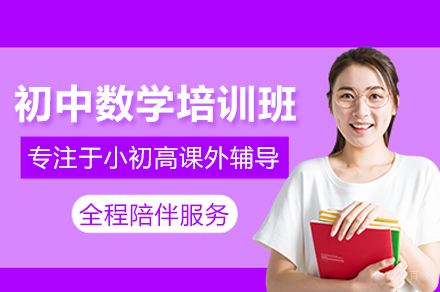 北京初中数学培训班