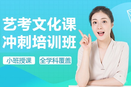 深圳艺考文化课冲刺培训班