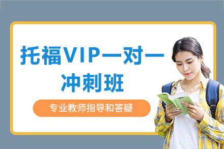 上海托福VIP一对一冲刺班
