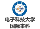 电子科技大学国际本科