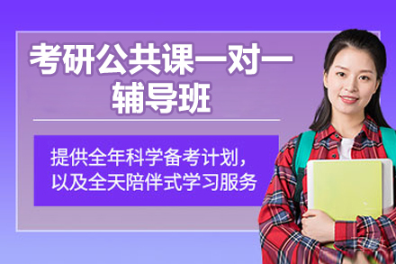 北京考研公共课一对一辅导班