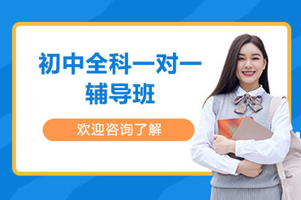 深圳初中全科一对一辅导班