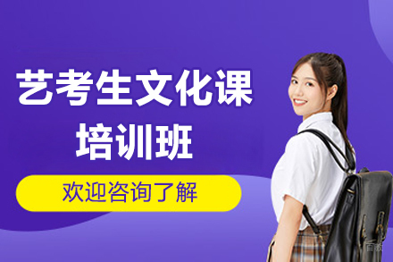 广州艺考生文化课培训班