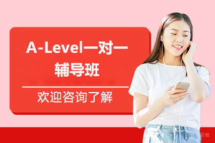 深圳市A-Level一对一辅导班