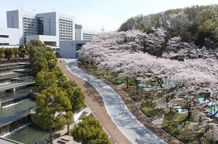 教学相册