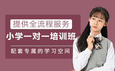 北京小学一对一培训班