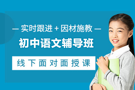 深圳市初中语文辅导班
