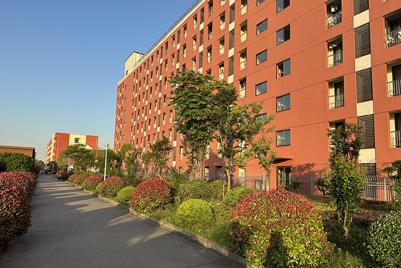 学校环境照片
