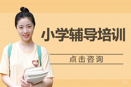 小学辅导培训