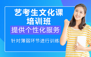 北京艺考生文化课培训班
