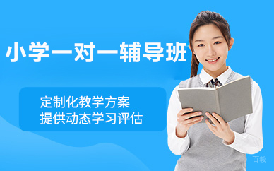 北京小学一对一辅导班