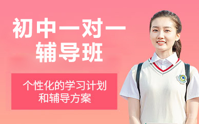 北京初中一对一辅导班