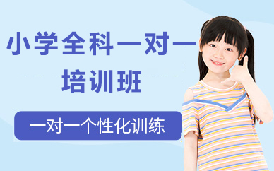 北京小学全科一对一培训班