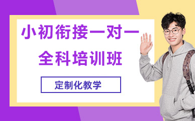 北京小初衔接一对一全科培训班