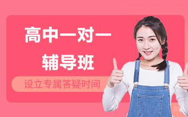 北京高中一对一辅导班