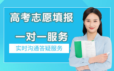 北京高考志愿填报一对一服务