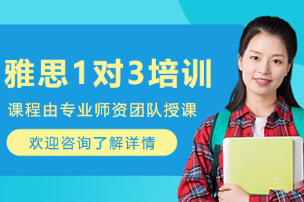 沈阳雅思VIP一对三培训班
