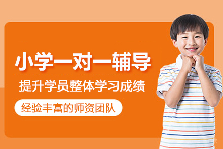 北京小学一对一辅导班