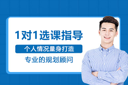 南京留学生1对1选课指导