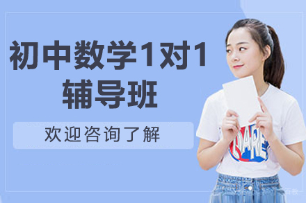 初中数学1对1辅导班