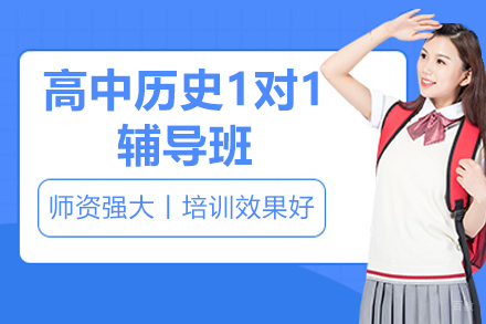 高中历史1对1辅导班