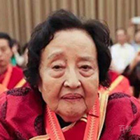 柴嵩岩