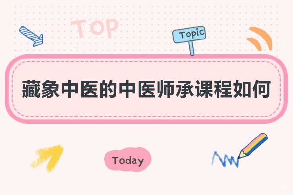 藏象中医的中医师承课程如何