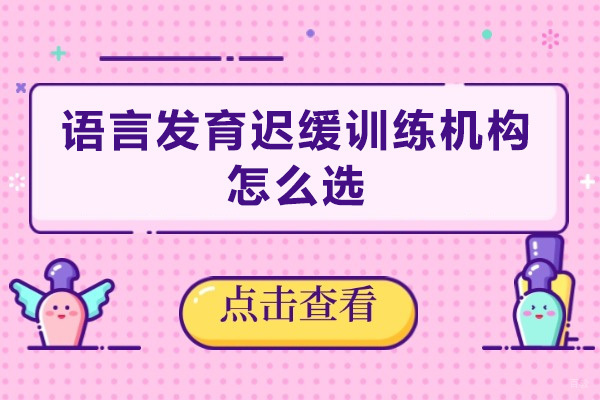 广州语言发育迟缓训练机构怎么选 