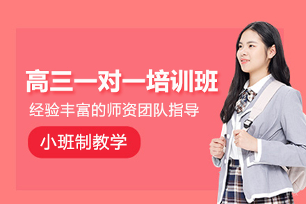 合肥高三一对一培训班