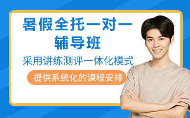 北京暑假全托一对一辅导班