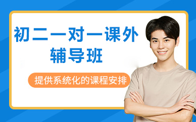 北京初二一对一课外辅导班