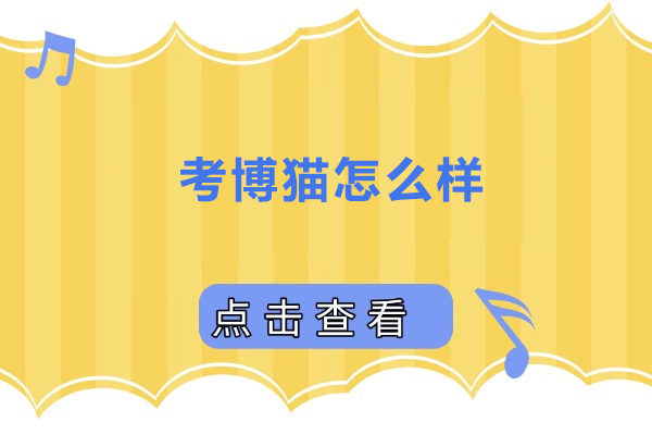 考博猫怎么样 