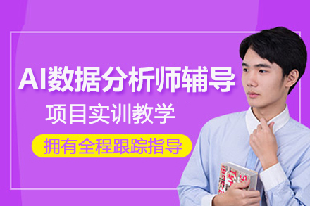 AI数据分析师辅导班