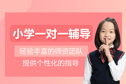 北京小学一对一辅导班
