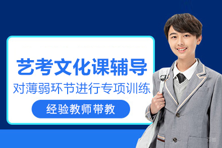 北京艺考文化课辅导班