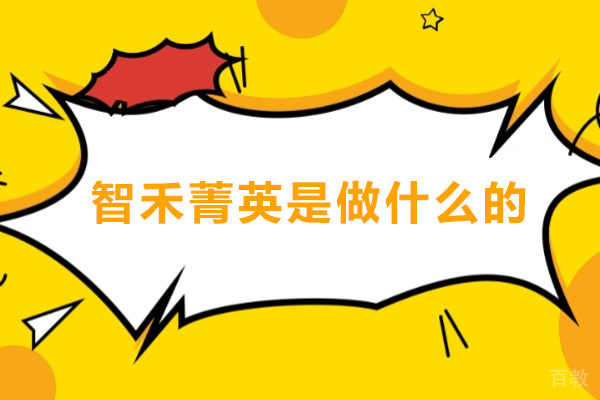 智禾菁英是做什么的
