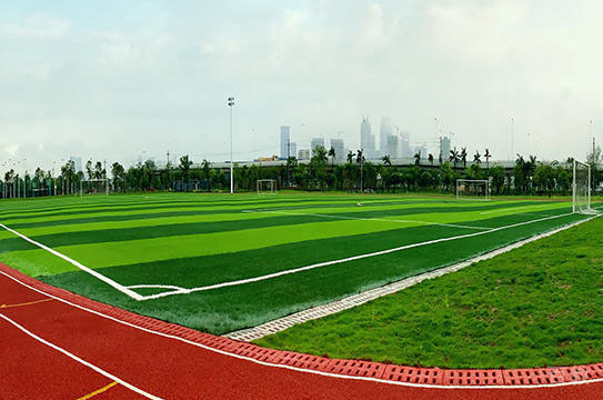 学校操场环境