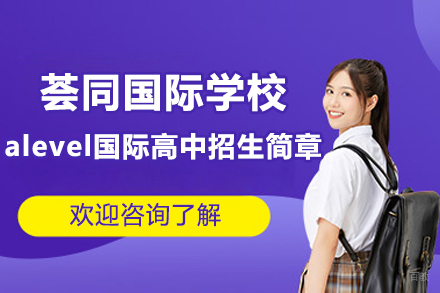 深圳荟同国际学校alevel国际高中招生简章