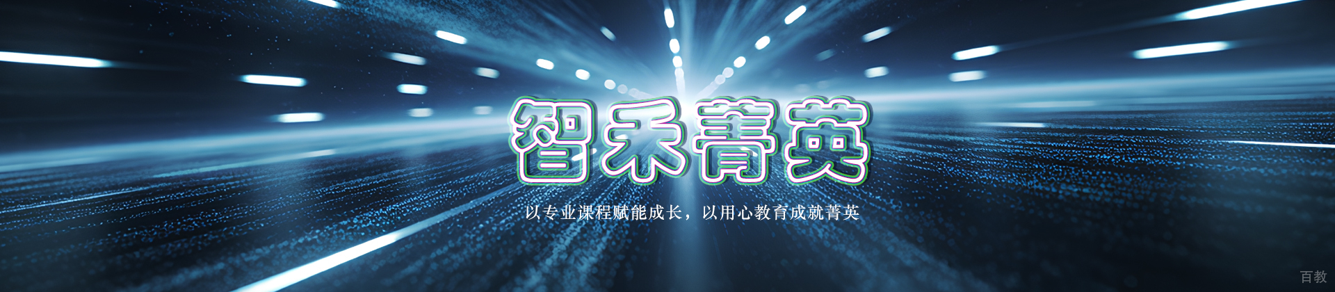 杭州智禾菁英