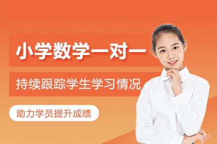 北京小学数学一对一辅导班