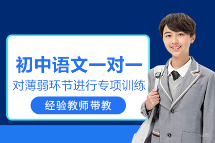 北京初中语文一对一培训班