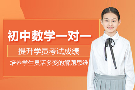 北京初中数学一对一培训班