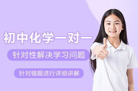 北京初中化学一对一培训班