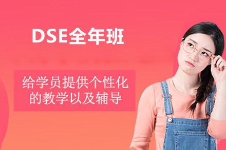 深圳DSE全年班