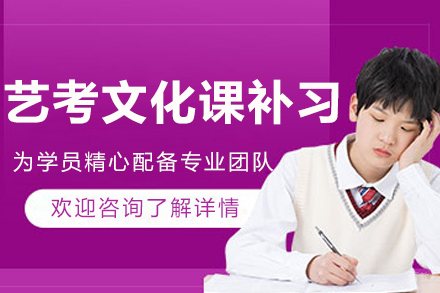 哈尔滨艺考文化课补习课程