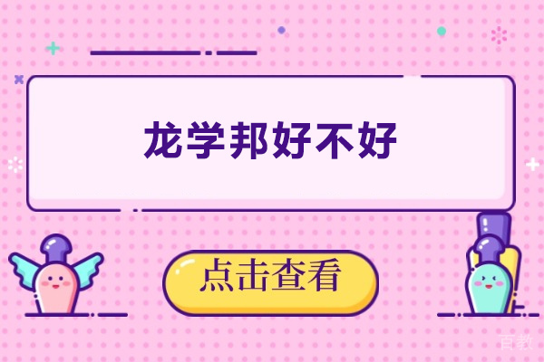 东莞龙学邦好不好 