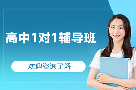 东莞高中1对1辅导班