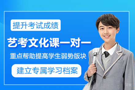 北京艺考文化课一对一培训班