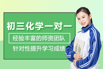北京初三化学一对一培训班
